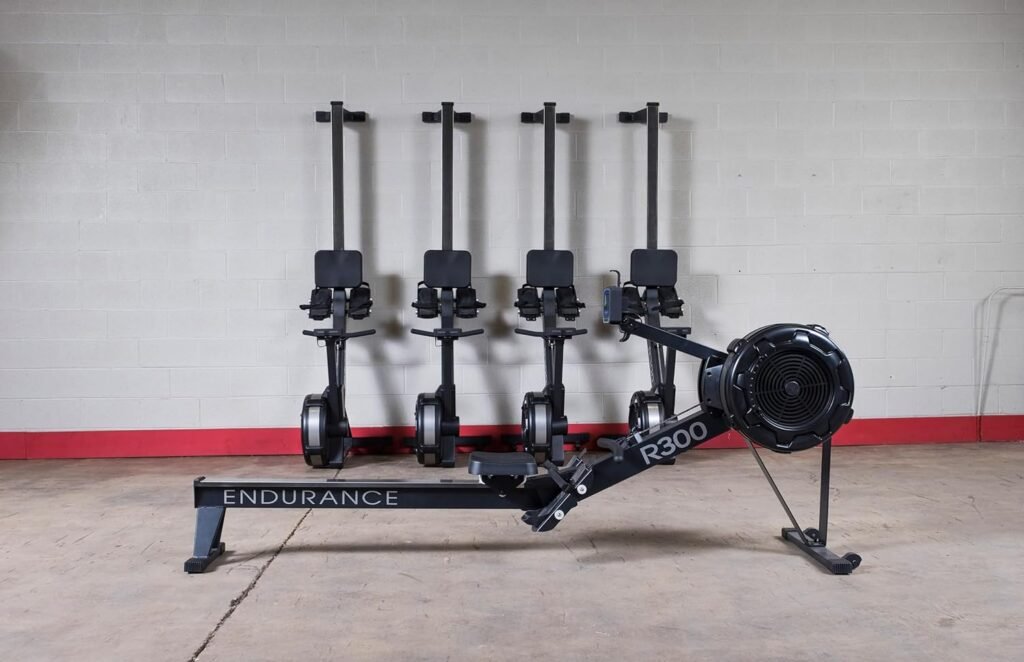 Body-Solid Endurance R300 Air Resistance Rower