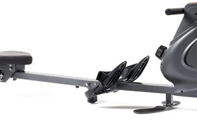 Magnetic Rowing Machine Review: Sunny Health & Fitness